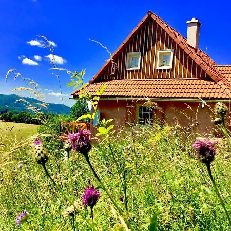 Gasthaus Kopanicky Dvor Hodruša Exterior foto