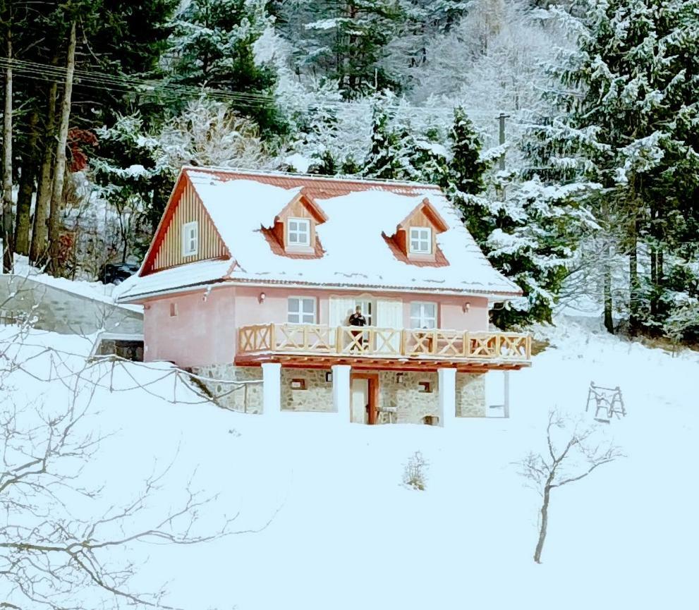 Gasthaus Kopanicky Dvor Hodruša Exterior foto