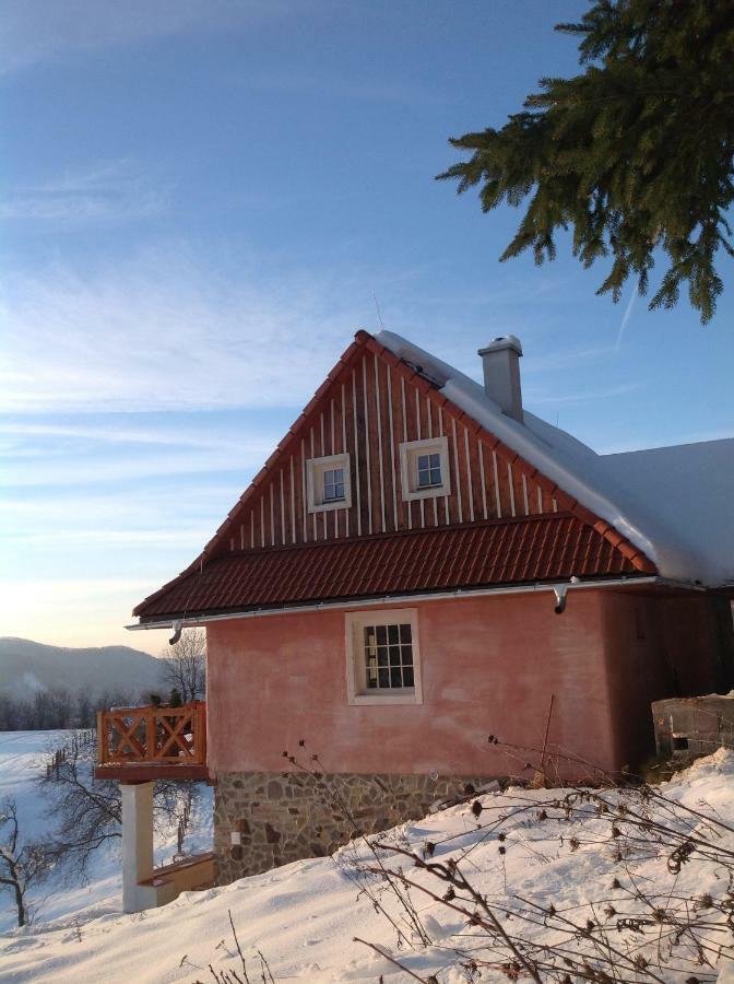 Gasthaus Kopanicky Dvor Hodruša Exterior foto