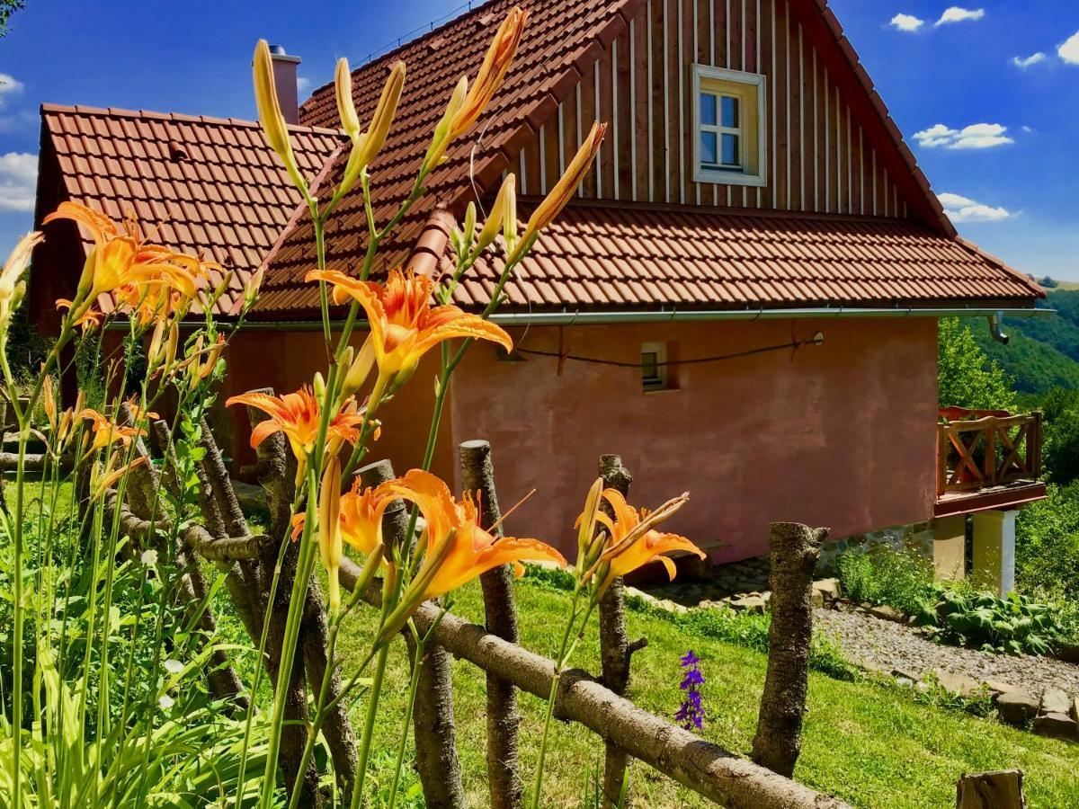 Gasthaus Kopanicky Dvor Hodruša Exterior foto